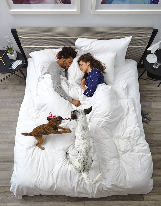 Tough Time Sleeping Next to Your Partner? These Technologies Might Help