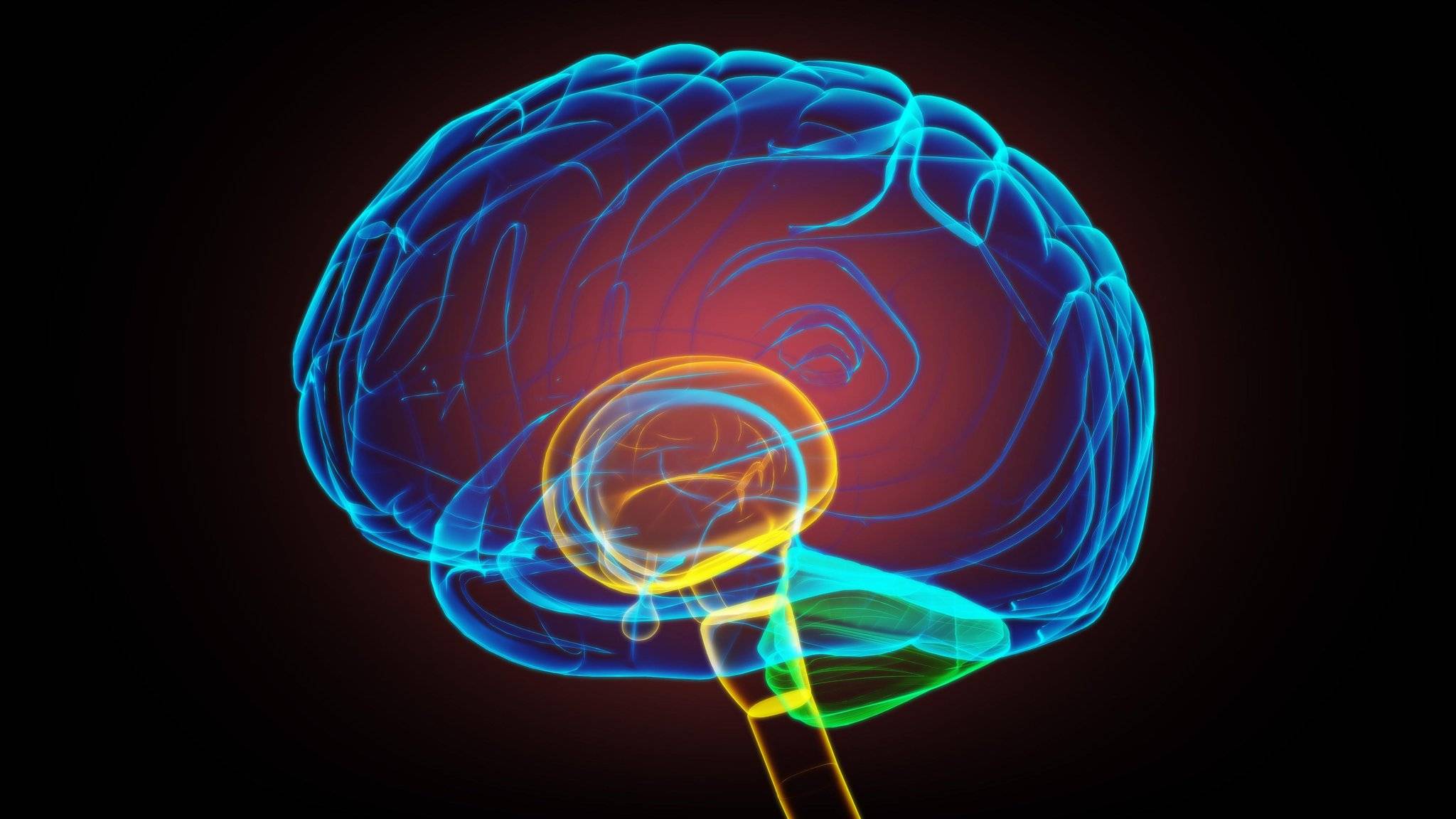 ¿Qué tan poderosa es la mente subconsciente? ¿Qué tan poderosa es la mente subconsciente?
